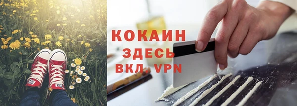 хмурый Аркадак