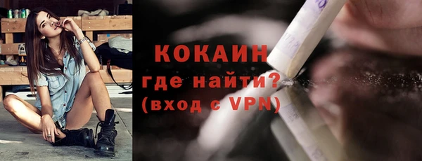 индика Балабаново