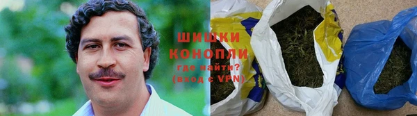 шишки Армянск