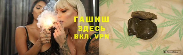 хмурый Аркадак