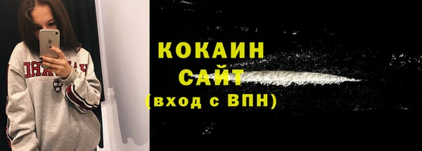 шишки Армянск