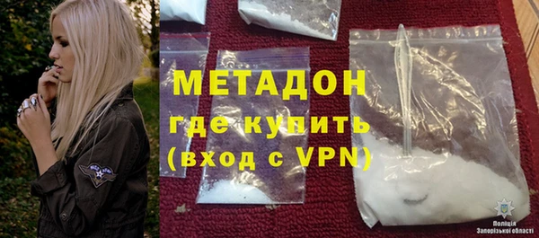 хмурый Аркадак