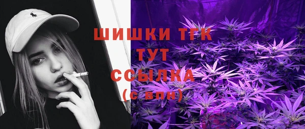 хмурый Аркадак