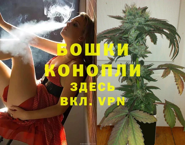 индика Балабаново