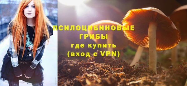 шишки Армянск