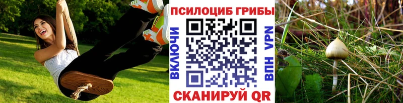 наркота  Кропоткин  Галлюциногенные грибы Cubensis 